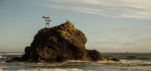 Polisa na życie. Czy warto kupić polisę na życie